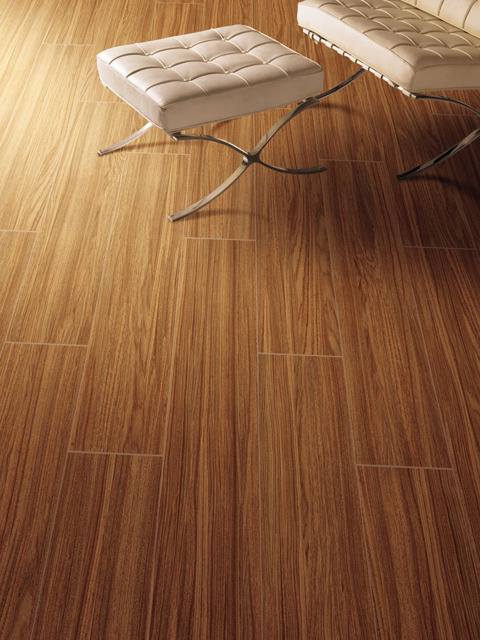 最美，不過當陽光遇上森林